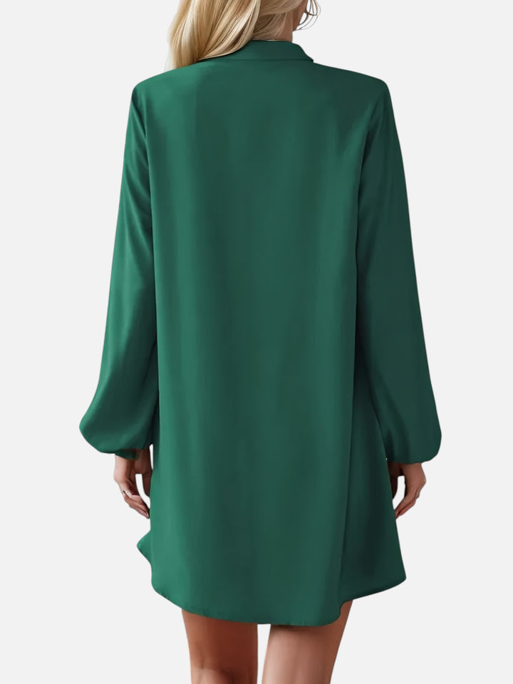 Women's V-Neck Midi Dress Long Sleeve Work and Occasion Wear